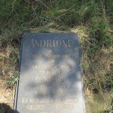 ANDRIONE Oswaldo 1971-1977