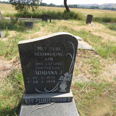 BEZUIDENHOUT Adriana J. 1978-1979