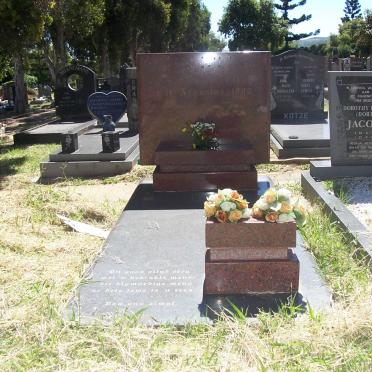 COETZEE Cornelius Gerhardus 1934-1998