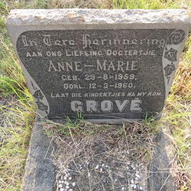 GROVE Anne-Marie 1959-1960