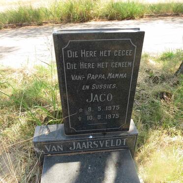 JAARSVELDT Jaco, van 1975-1975