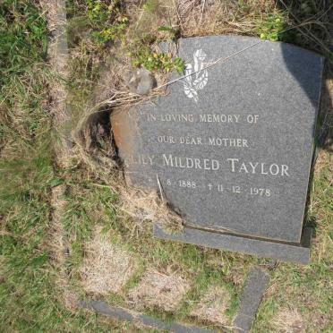 TAYLOR Lily Mildred 1888-1978