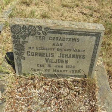 VILJOEN Cornelis Johannes 1926-1965