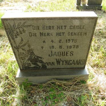 WYNGAARD Jaques, van 1975-1975