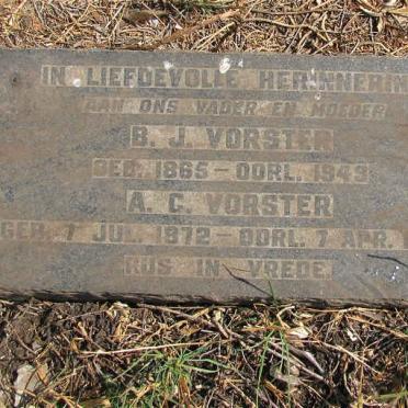 VORSTER  B.J. 1865-1949 &amp; A.C. 1872-1959