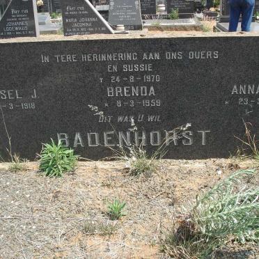 BADENHORST Wessel J.1918- &amp; Anna M. 1926- :: BADENHORST Brenda 1959-1970