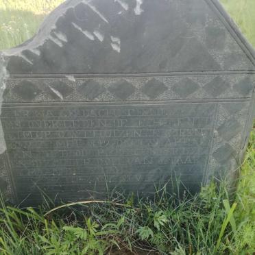 OOSTHUIZEN J.J.M.C.P. 1842-1928