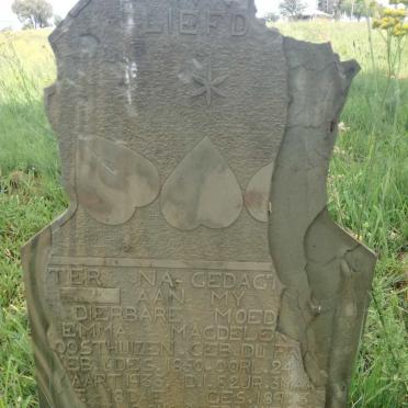 Gauteng, RANDFONTEIN district, Kocksoord, Middelvlei Station, old cemetery