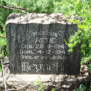 Gauteng, RANDFONTEIN district, Wildfontein 52, farm cemetery