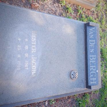 BERGH Hester Jacoba, van den 1907-1988