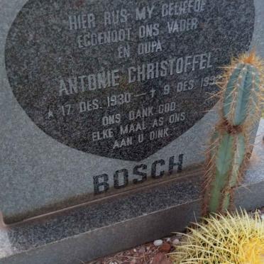 BOSCH Antonie Christoffel 1930-1992