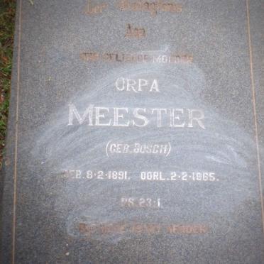 MEESTER Orpa nee BOSCH 1891-1965