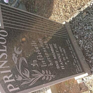 PRINSLOO Jacobus Gerhardus 1904-1972 &amp; Hannetjie 1920-1987