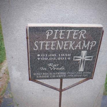 STEENEKAMP Pieter 1956-2014