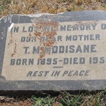 MODISANE T.M. 1895-1951
