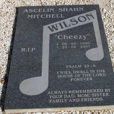 WILSON Ascelin Shahn Mitchell 1986-2007