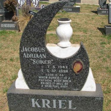 K - Surnames :: Vanne - K