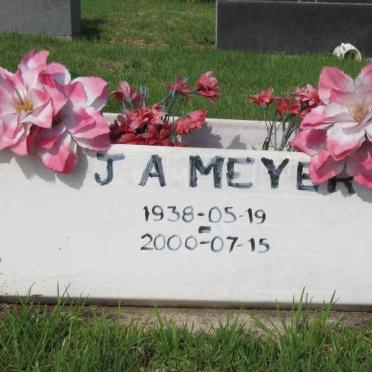 MEYER J.A. 1938-2000