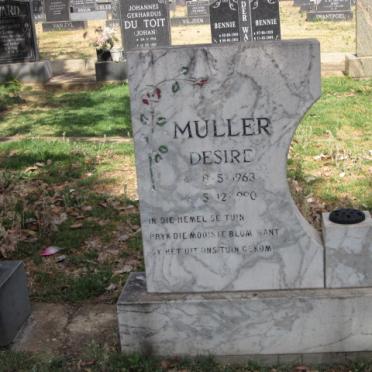 MULLER Desire 1963-1990