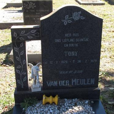 M - Surnames :: Vanne - M