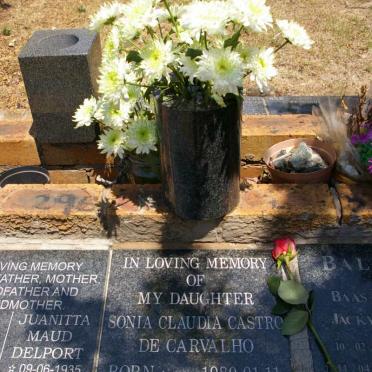 CARVALHO Sonia Claudia Castro, de 1980-2002