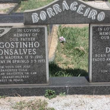 BORRAGEIRO Agostinho Gonsalves 1910-1973 &amp; Rosa De Jesus 1912-1972