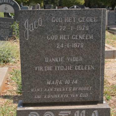 BOTHA Jaco 1979-1979