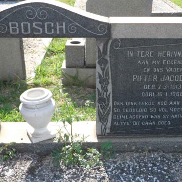 BOSCH Pieter Jacobus 1913-1966