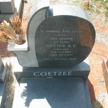 COETZEE Hester A.C. nee VOSLOO 1889-1975