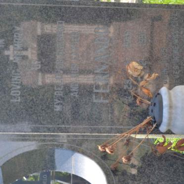 GOMES Fernando 1946-1991