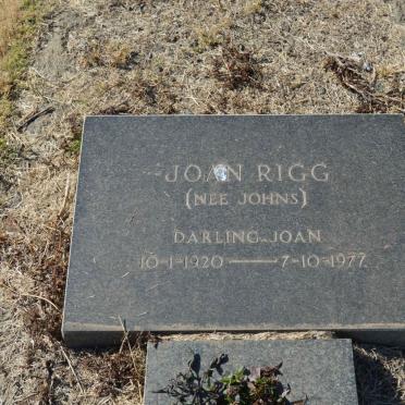 JOHNS J.S. 1891-1969 &amp; J.W. -1933 :: RIGG Joan nee JOHNS 1920-1977