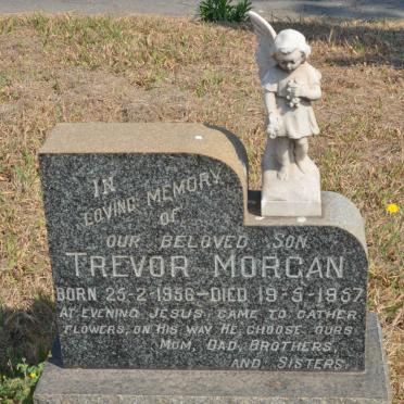 MORGAN Trevor 1956-1957