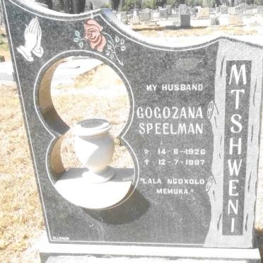 Mt - Surnames starting with the letters Mt