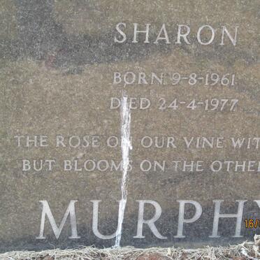 MURPHY Sharon 1961-1977