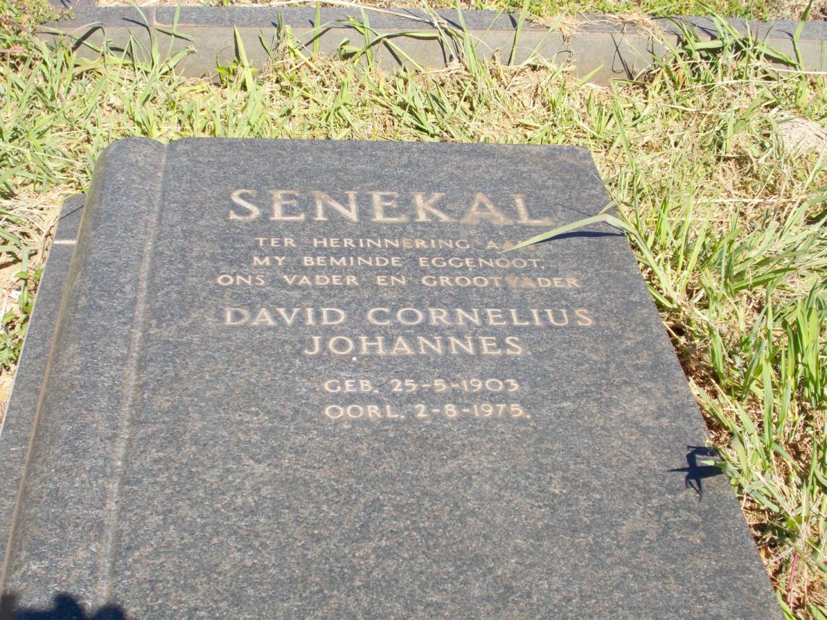 SENEKAL David Cornelius Johannes 1903-1975 &amp; Aletta Sophia Hester GREYVENSTEIN 1906-1994