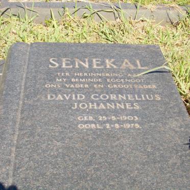 SENEKAL David Cornelius Johannes 1903-1975 &amp; Aletta Sophia Hester GREYVENSTEIN 1906-1994 