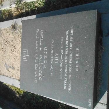 SHAPIRO Lily 1907-1999