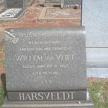 HARSVELDT Willem van Vliet  -1953