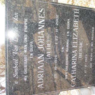 VERMAAS André 1964-1995 &amp; Vienie 1956-2005 