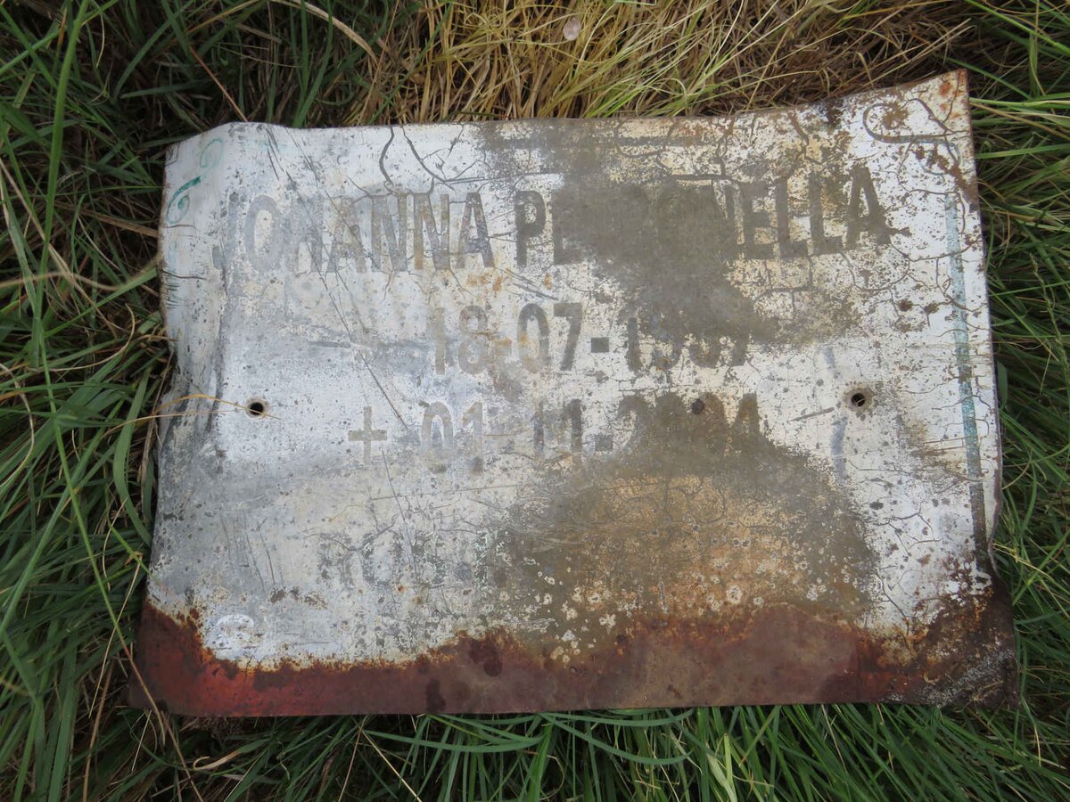 ? Johanna Petronella 1937-2004