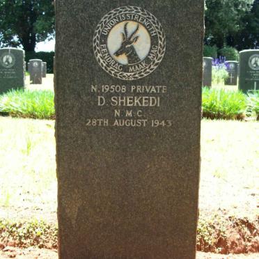 SHEKEDI D. -1943