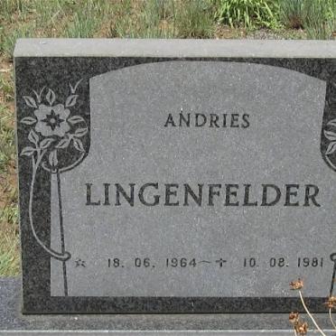 LINGENFELDER Andries 1964-1981