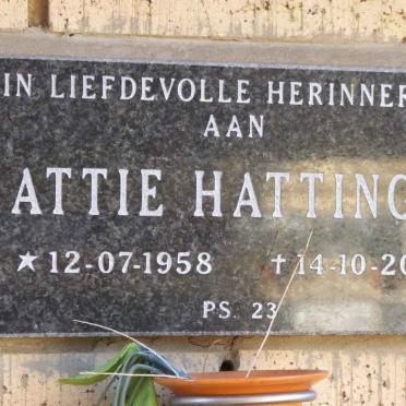HATTINGH Attie 1958-2009