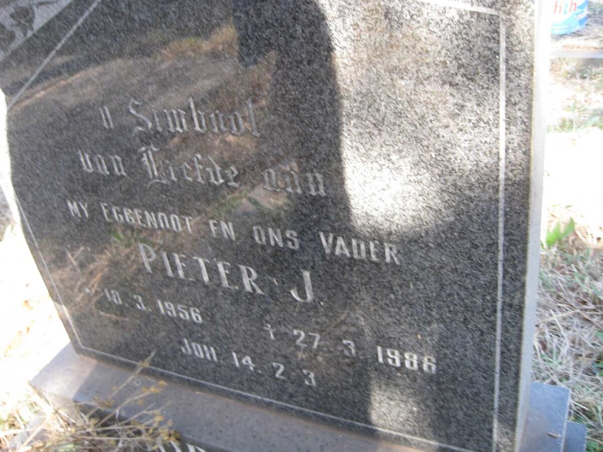 ? Pieter J. 1956-1986