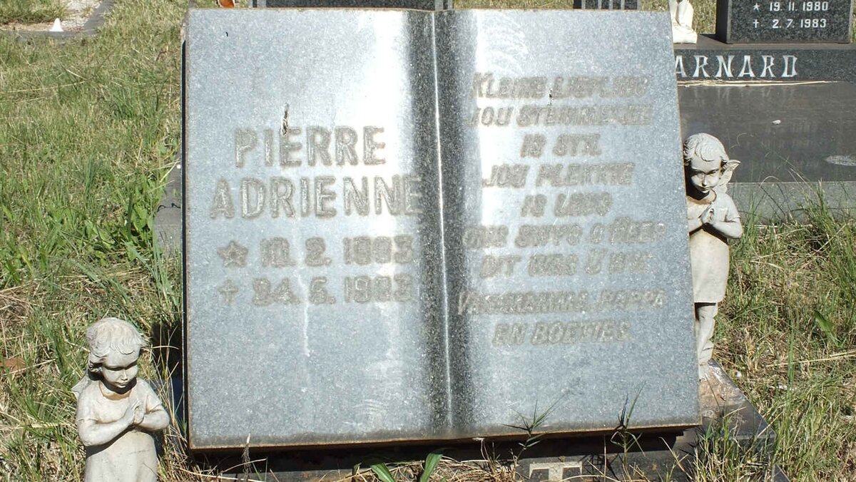 ? Pierre Adrienne 1983-1983