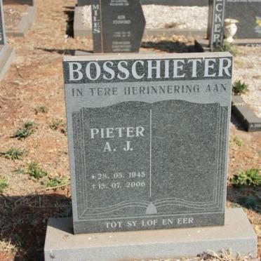 BOSSCHIETER Pieter A.J. 1945-2006