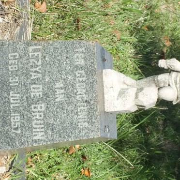 BRUIN Lezya, de 1957-1957