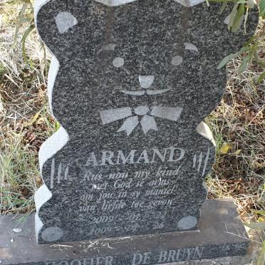 BRUYN Armand, de Hooijer 2009-2009