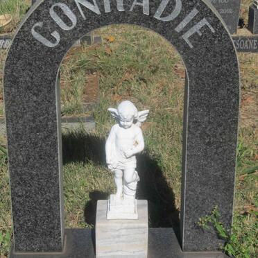 CONRADIE Nicolaas Hendrik 1991-1991