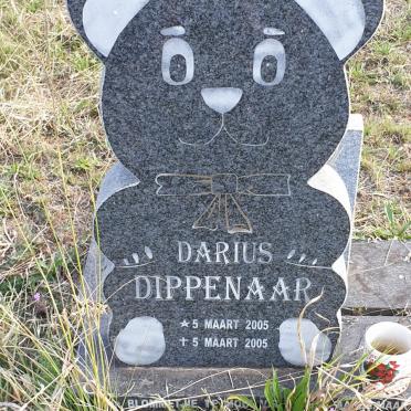 DIPPENAAR Darius 2005-2005